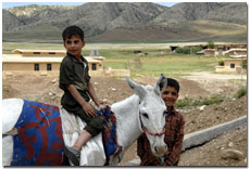 Two boys with a donkey